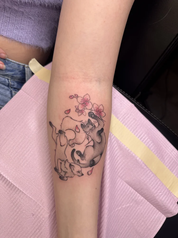 Cherry blossom cats