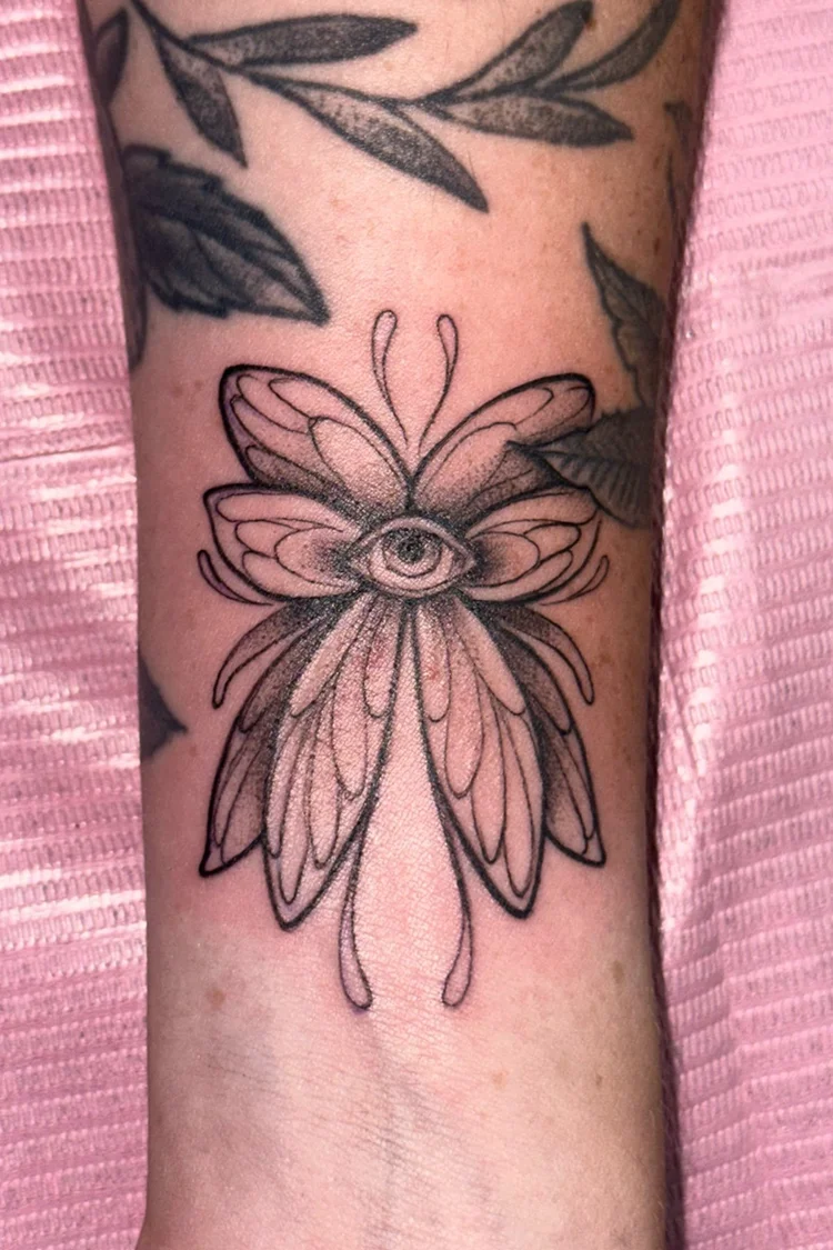 Moth with eye