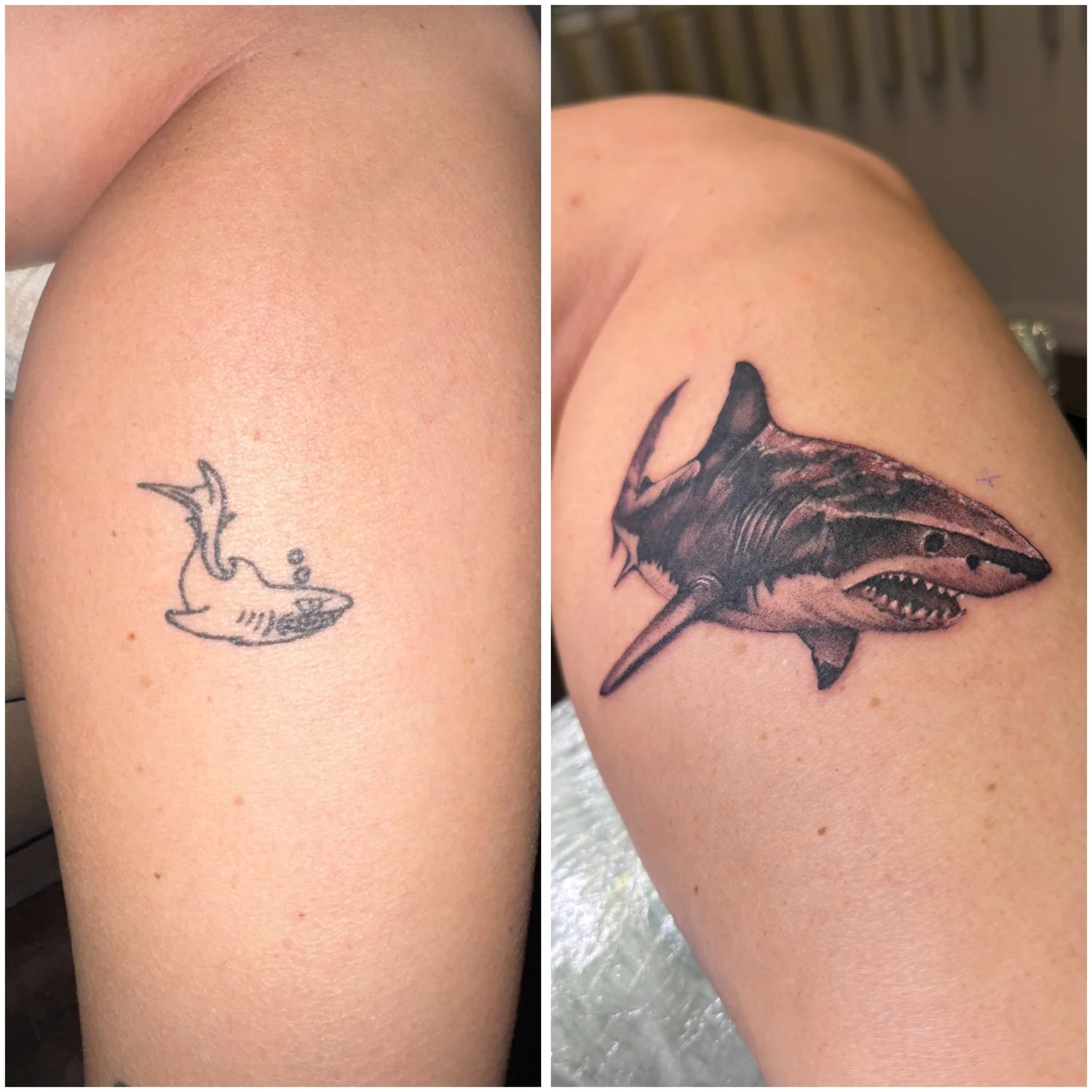 Shark cover-up